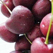 First Pick Australian Cherries