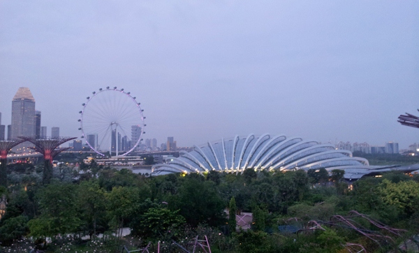Gardens by the Bay Night View
